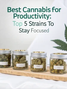 best cannabis for productivity