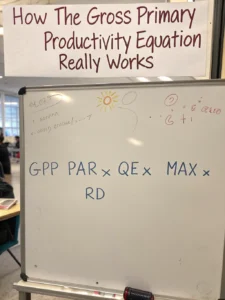 gross primary productivity equation