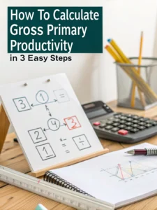 how to calculate gross primary productivity