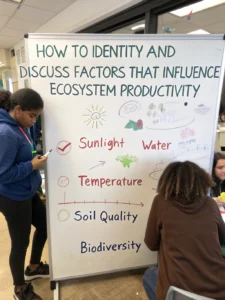 identify and discuss factors that influence ecosystem productivity