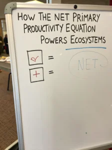 net primary productivity equation