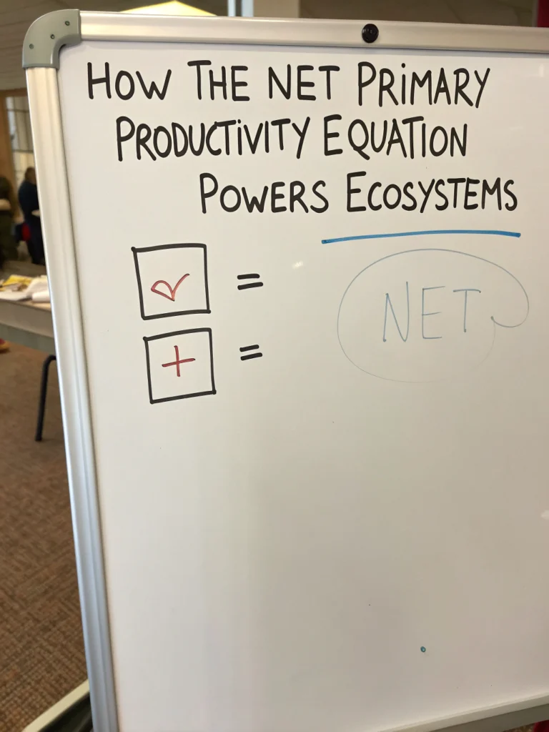 net primary productivity equation
