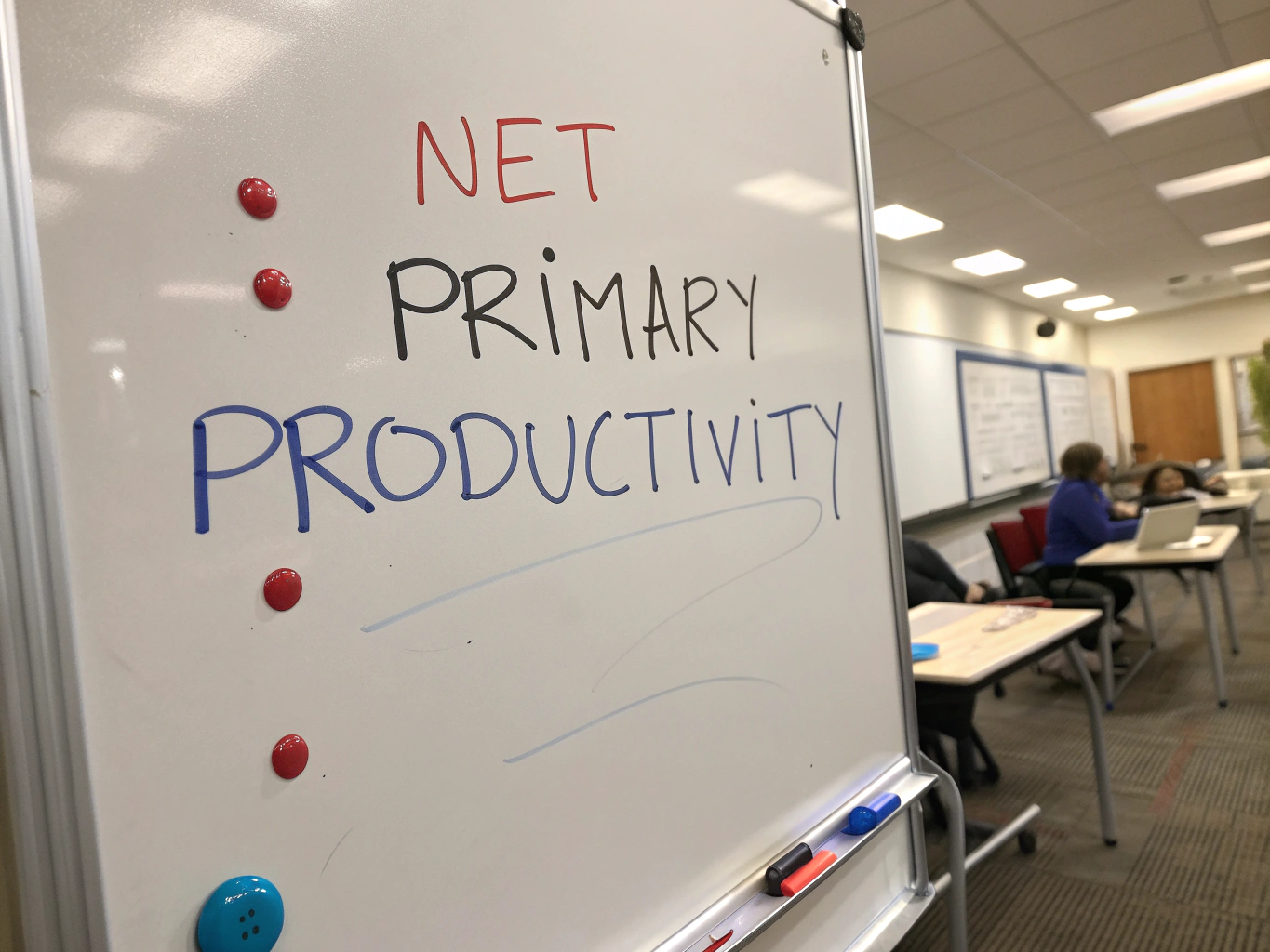 Net Primary Productivity Equation Ingredients