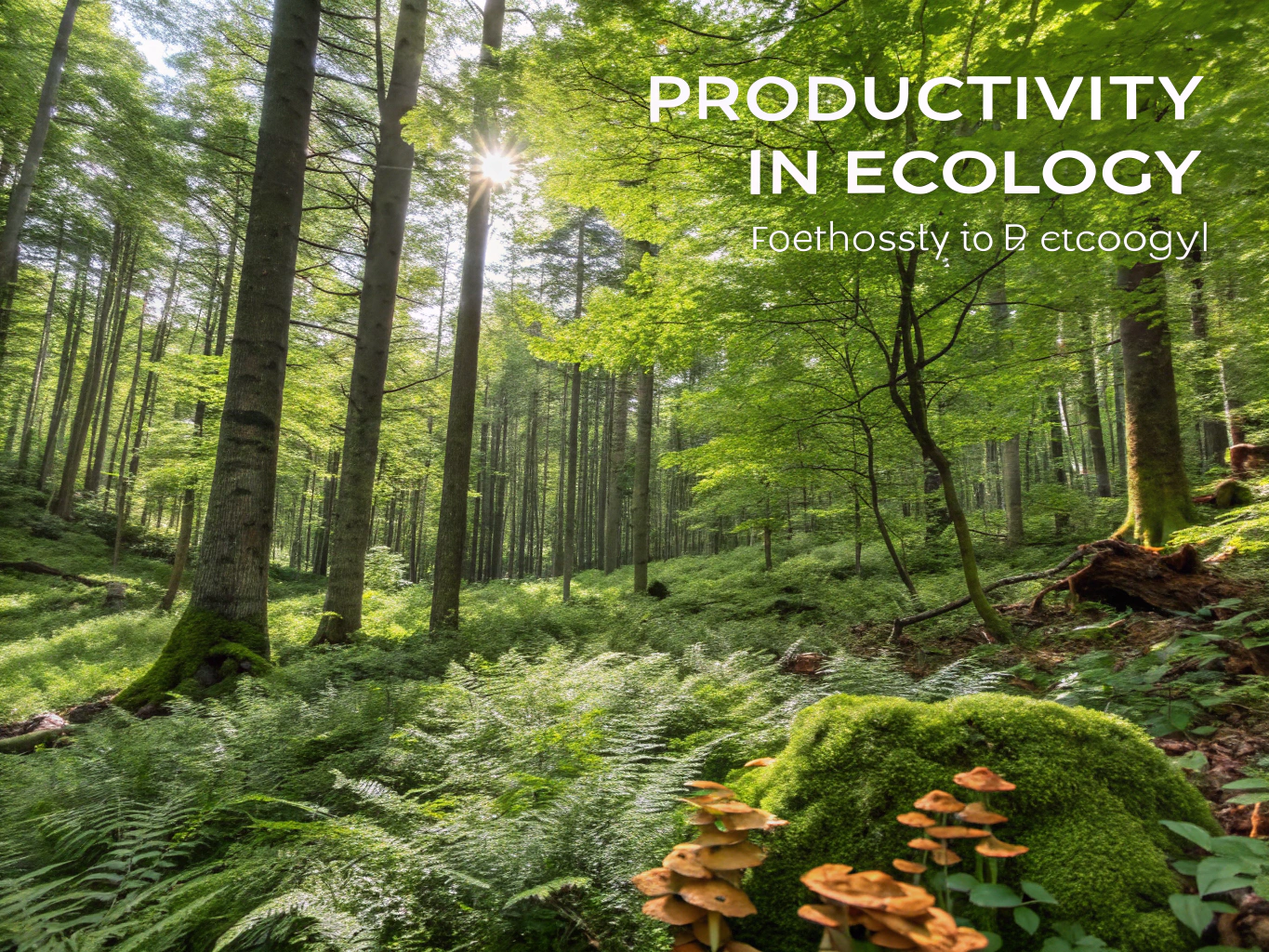 Ecosystem Productivity